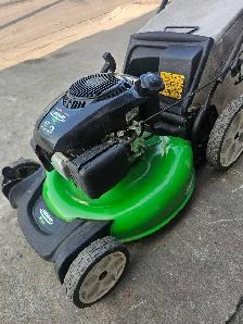 Lawn boy