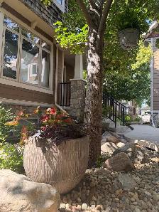 Beautiful Nutana townhouse for sale - Photo 4