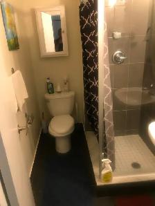 $800. Bedroom/bathroom in luxury condo near Finch subway! - Photo 4