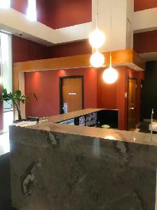 $800. Bedroom/bathroom in luxury condo near Finch subway! - Photo 7