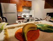 Master & Second Bedroom for Rent – 1055 Bay St - Photo 6