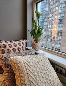 Master & Second Bedroom for Rent – 1055 Bay St - Photo 8