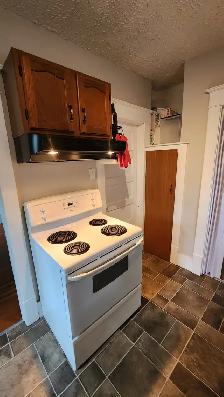 1 Bed & Den Buena Vista Full House for Rent - Photo 6