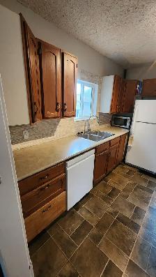 1 Bed & Den Buena Vista Full House for Rent - Photo 10