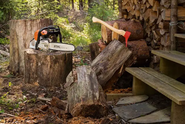 Free firewood if you have a chainsaw!