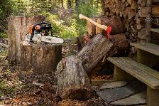 Free firewood if you have a chainsaw!