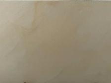 Fossil Mint Honed Porcelain – 24x36 | Only $5.85/Sqft