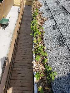 House Washing, Gutter Cleaning, Junk Removal - Photo 6