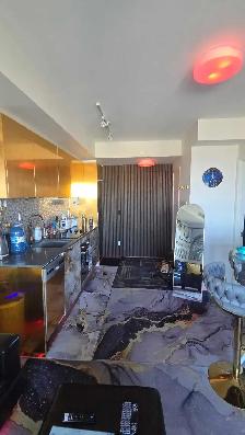 Midtown- Luxury  Furnished Condo from August 1st-Sept 30th - Photo 2