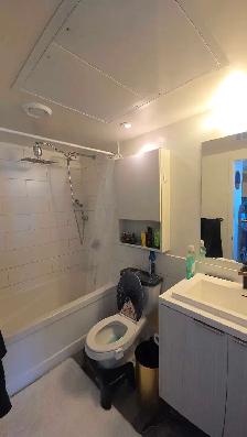 Midtown- Luxury  Furnished Condo from August 1st-Sept 30th - Photo 5