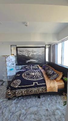 Midtown- Luxury  Furnished Condo from August 1st-Sept 30th - Photo 7