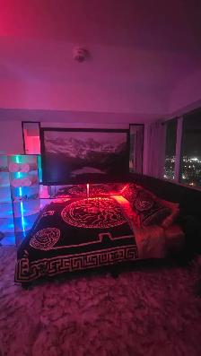 Midtown- Luxury  Furnished Condo from August 1st-Sept 30th - Photo 8