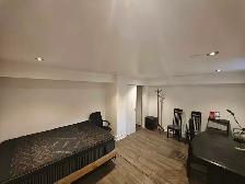 Private large room near royal york subway