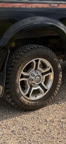 2008 F350 Harley Davidson edition - Photo 9
