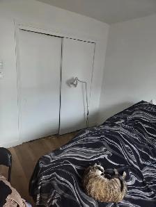 Cession de bail d'un 2 1/2 séparé en 3 1/2 pour le 1er aout - Photo 4