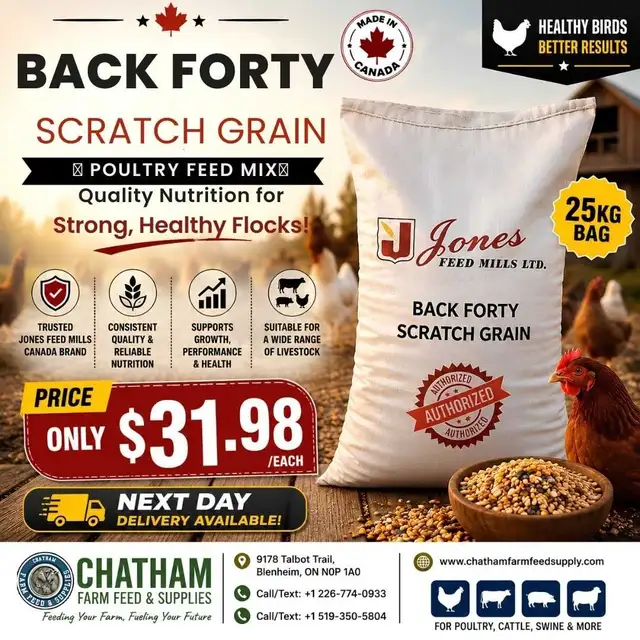 Organic Scratch Grain