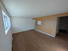 2 bedroom lower level apartment. - Photo 2