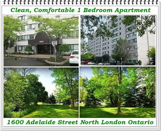 Bright Clean 1 Bedroom Apartment Available at 1600 Adelaide
