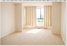 Bright Clean 1 Bedroom Apartment Available at 1600 Adelaide - Photo 4