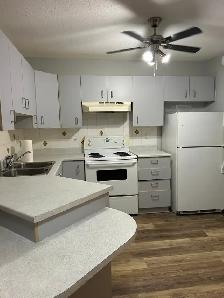 2 Bedroom 1 Bath Spacious and Quiet Embrun ON - Photo 2