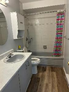 2 Bedroom 1 Bath Spacious and Quiet Embrun ON - Photo 3