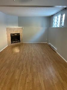 2 Bedroom 1 Bath Spacious and Quiet Embrun ON - Photo 4