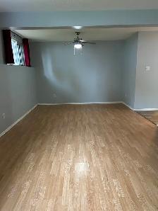 2 Bedroom 1 Bath Spacious and Quiet Embrun ON - Photo 5
