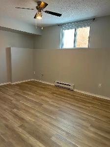 2 Bedroom 1 Bath Spacious and Quiet Embrun ON - Photo 6