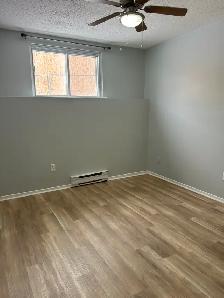 2 Bedroom 1 Bath Spacious and Quiet Embrun ON - Photo 8