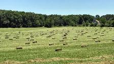 square hay bales