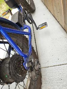Ebike for Sale - Photo 4