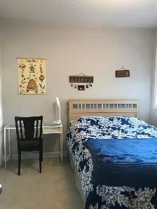 ROOM FOR RENT IN BEAUTIFUL CANMORE HOME (available Sept. 01) - Photo 3