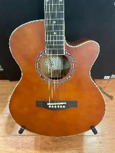 Hudson HD1 NT Acoustic Guitar