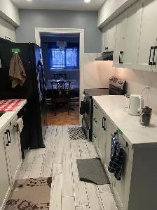 Shared Accommodation- No Lease- Scarborough