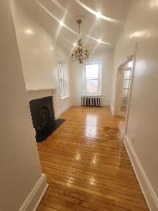 Clean bright apartmet close to skeleton park.
