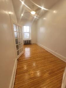 Clean bright apartmet close to skeleton park. - Photo 2
