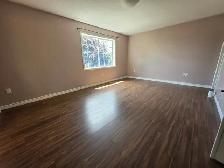 4 Bedroom Detached House - Photo 12