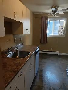 Spacious & Bright 1-Bedroom Apartment - Downtown Edmonton - Photo 5