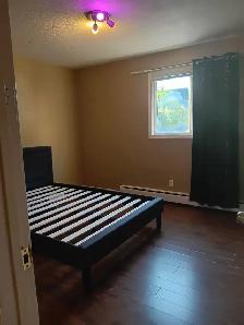 Spacious & Bright 1-Bedroom Apartment - Downtown Edmonton - Photo 13