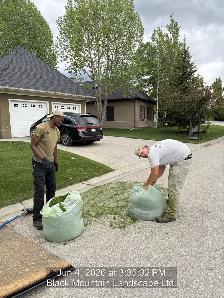 FULL-TIME LAWN CARE & LANDSCAPING CREW MEMBER - Photo 5