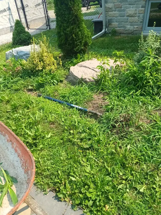 Offering Quality Landscaping & window cleaning