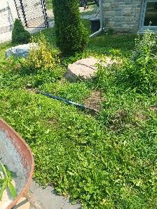 Offering Quality Landscaping & window cleaning