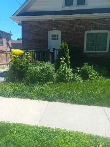 Offering Quality Landscaping & window cleaning - Photo 6