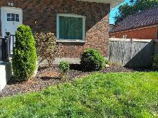 Offering Quality Landscaping & window cleaning - Photo 7
