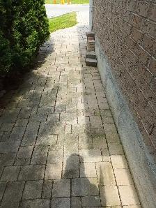 Offering Quality Landscaping & window cleaning - Photo 8