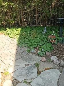 Offering Quality Landscaping & window cleaning - Photo 9