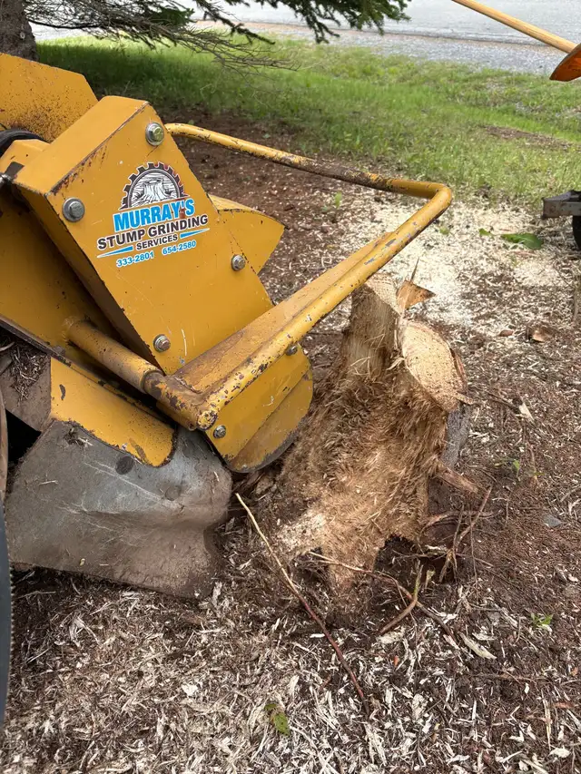 stump grinding