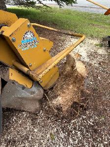 stump grinding