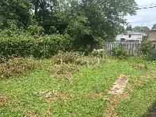 garden help. 20/-$. Scarboro