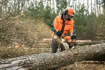 Bois de chauffage a donner a St-Christine